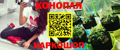 герыч Шахты