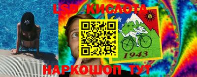 стаф Чебоксары