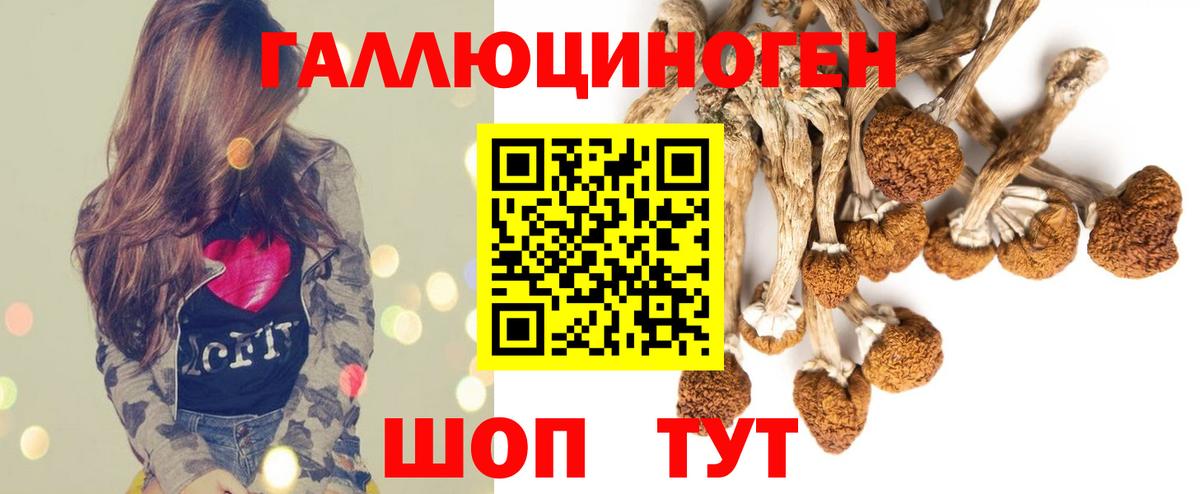 Галлюциногенные грибы Magic Shrooms  Вход с VPN  Боровичи 